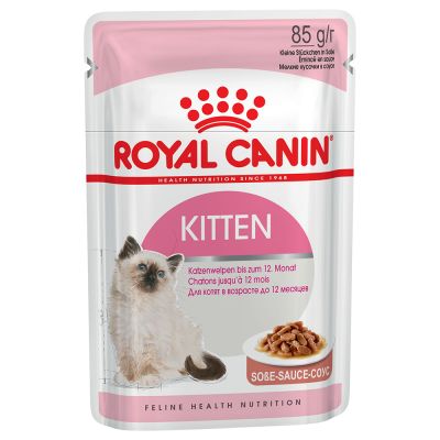 Royal Canin Kitten in Soße