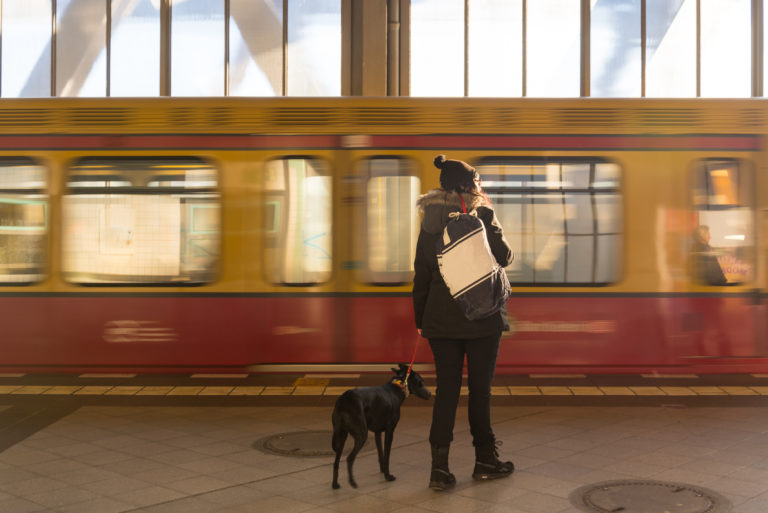 Viajar de comboio com cão