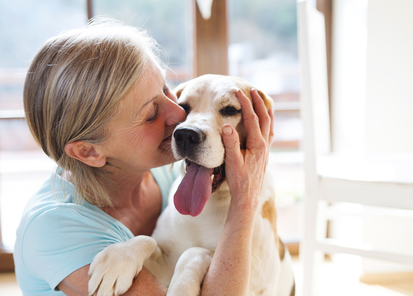 hund zu hause hund zu hause