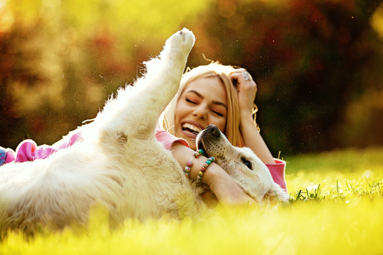 7 razões pelas quais os cães nos tornam mais felizes