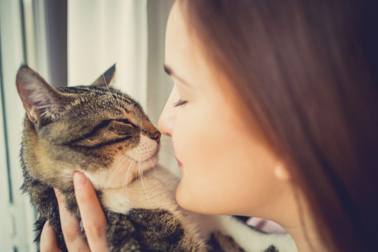 Os gatos são bons para a nossa saúde