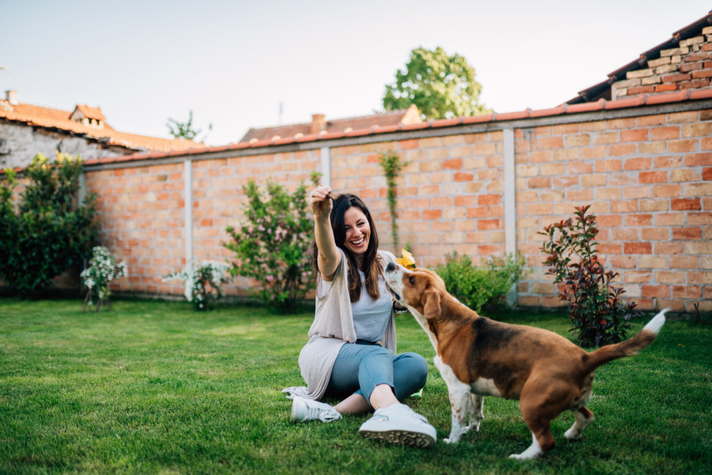 Um cão é feliz quando brinca com os donos.