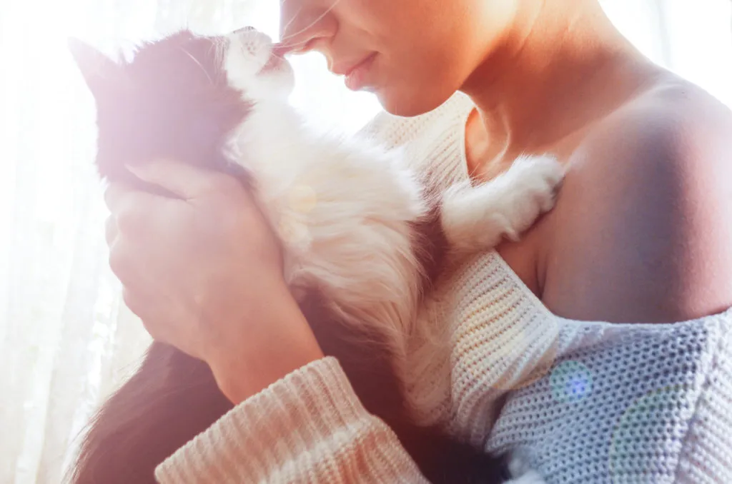 toxoplasmose-1024×678 Toxoplasmose nos gatos: um gato que vai à rua está mais exposto à doença