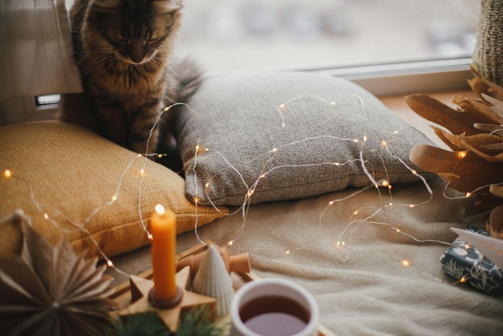 Natal com gatos: gato entre almofadas a olhar para uma vela acessa