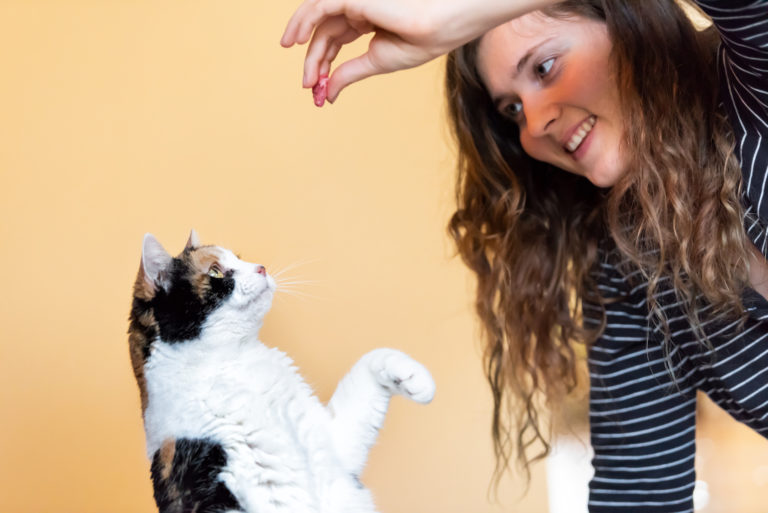 Truques para gatos Truques para gatos