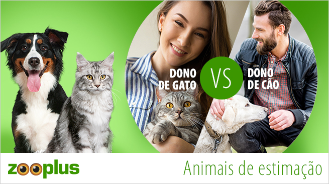 2018_04_DogOwner_VS_CatOwner_655x368_PT 2018_04_DogOwner_VS_CatOwner_655x368_PT