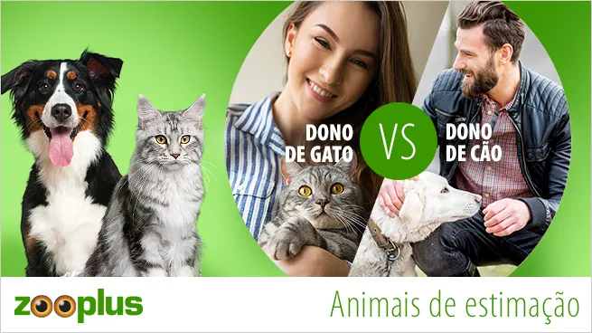 2018_04_DogOwner_VS_CatOwner_655x368_PT