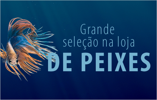 Grande selecao na loja de peixes!1