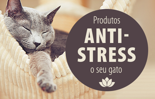 Antistress_Cat