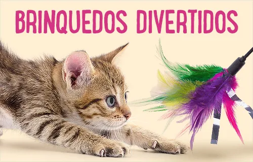 Cat_Toys