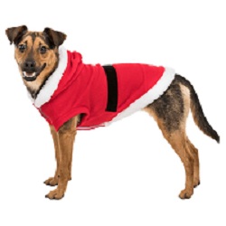 cao_pai_natal