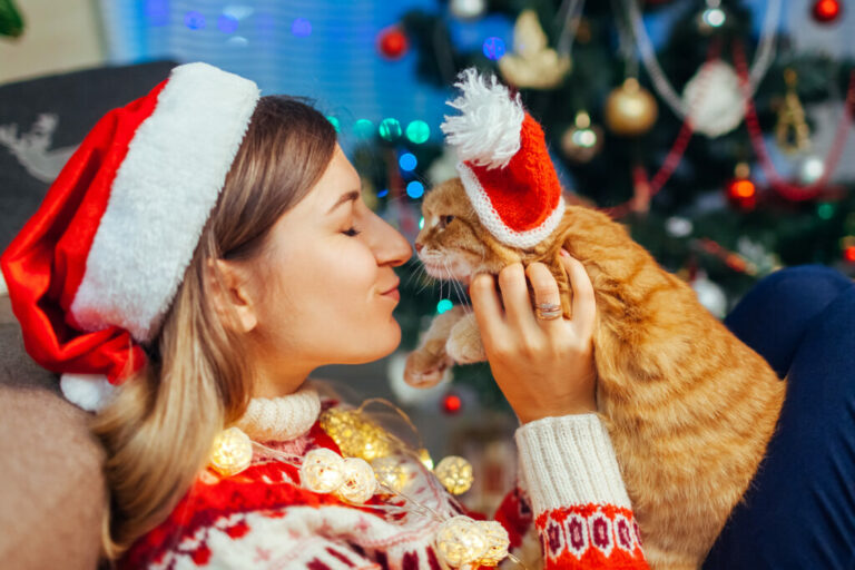 Christmas celebration with cat. Woman playing and kissing pet in Santa’s hat by New year tree at home. Lista de prendas de natal para gatos