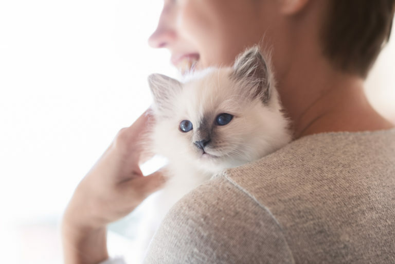 mulher a abraçar gatinho