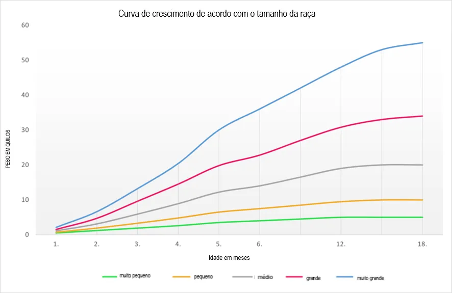 Comida para cachorros: a idade e a ração são aspetos importantes
