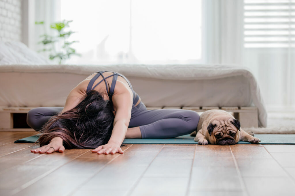 praticar yoga com o seu cão