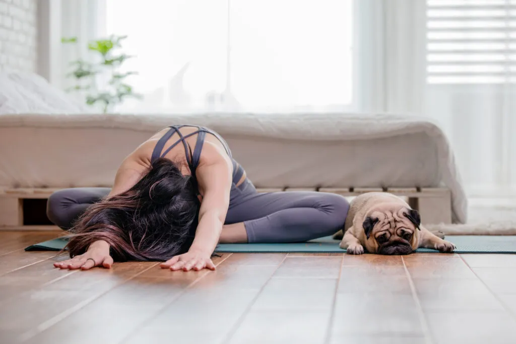 praticar yoga com o seu cão