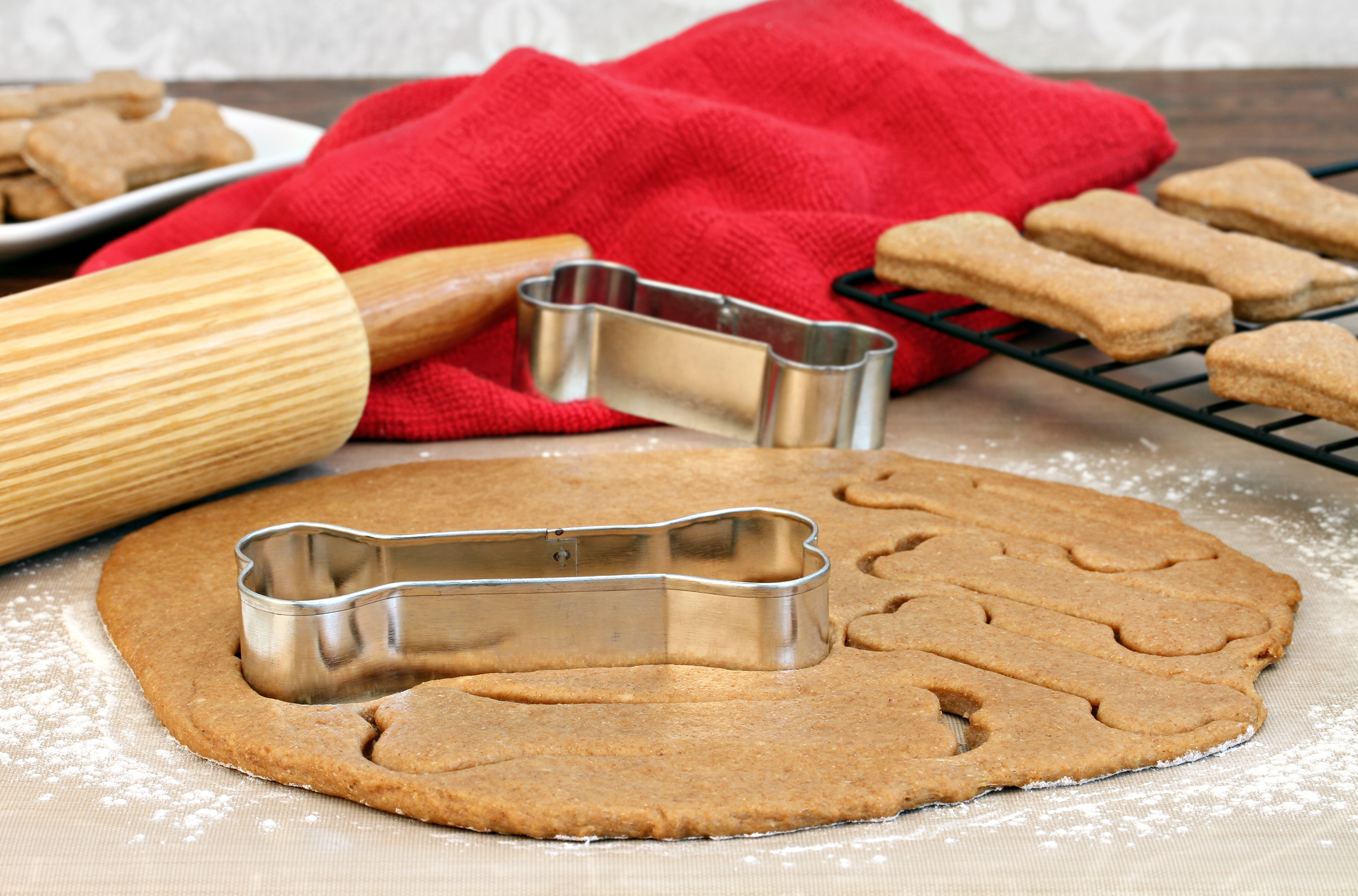 hundekekse selber backen hundekekse selber backen