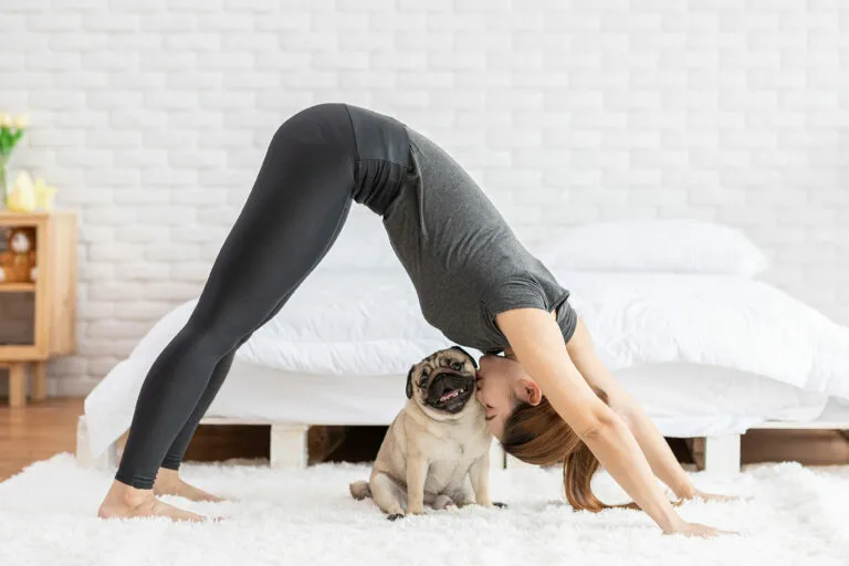 mulher a praticar yoga com o seu cão mulher a praticar yoga com o seu cão