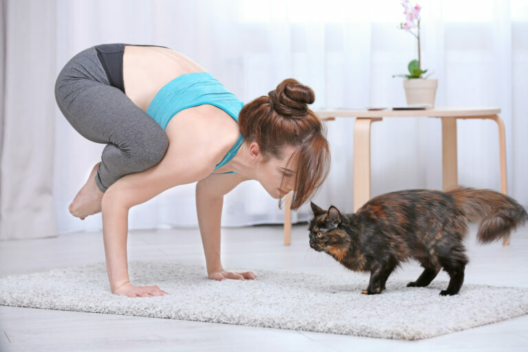 mulher a fazer yoga com gatos
