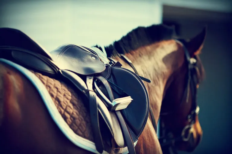 selas-cavalos selas-cavalos