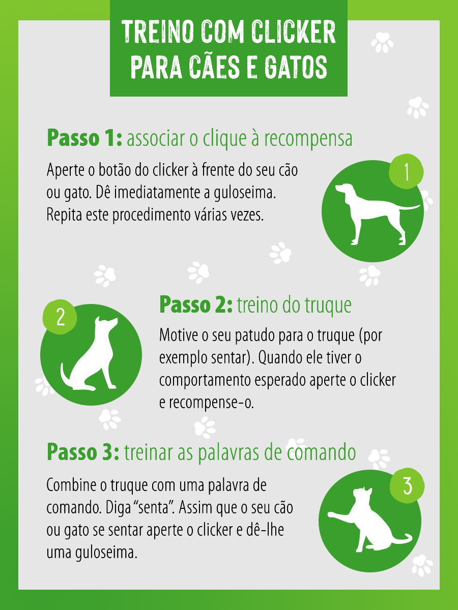 2020_04_clicker_infographic_900x1200_vertical (1) Etapas do treino com clicker para gatos