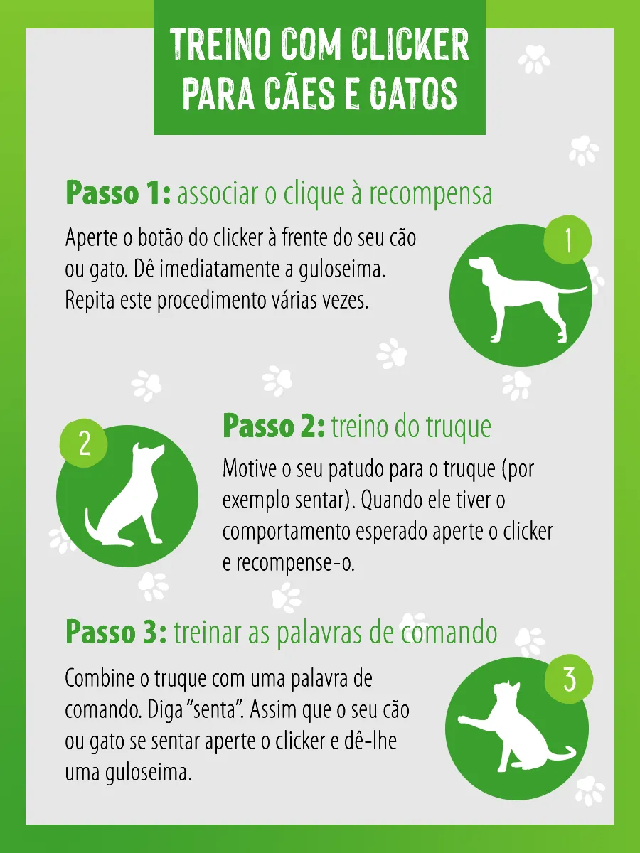 Etapas do treino com clicker para gatos