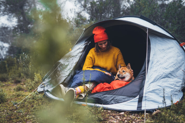 tourist traveler hugging relaxation red shiba inu in camp tent on background foggy forest, smile hiker woman with puppy dog in mist nature trip, friendship love concept, girl resting dog together Acampar com um cão: cão com a dona dentro de uma tenda