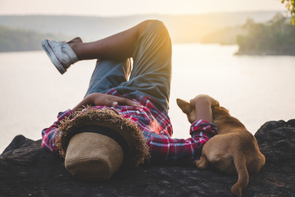 ver o pôr-do-sol com o cão