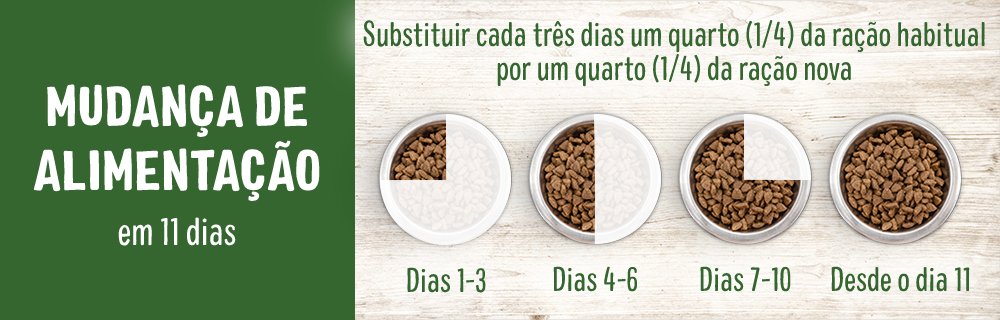 Alterar a alimentação dos gatos