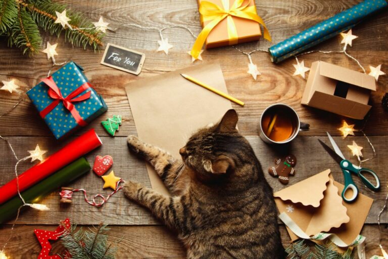 Gato deitado no chão entre prendas, embrulhos e luzes de Natal. Um calendário de Advento para gatos é simples de fazer e muito divertido.