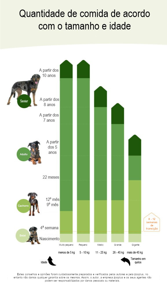 alterar a alimentação dos cães: gráfico com relação idade e tamanho da raça