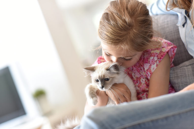 Menina a fazer festas a gatinho Socialização de gatos