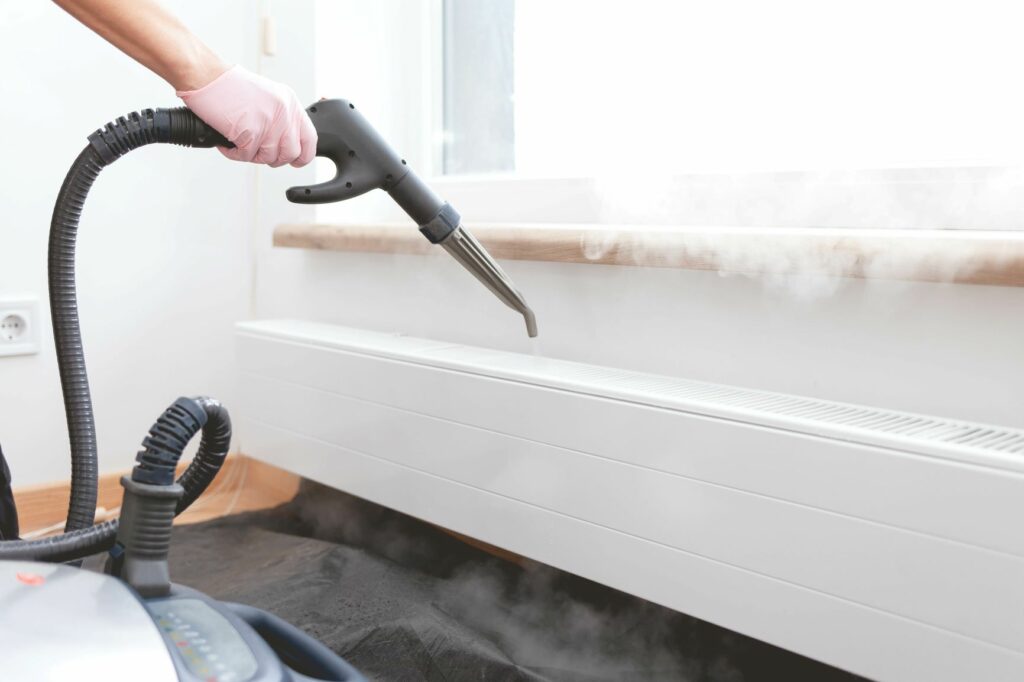Limpar a casa com aspirador Ácaros nos cães: a limpeza da casa é essencial