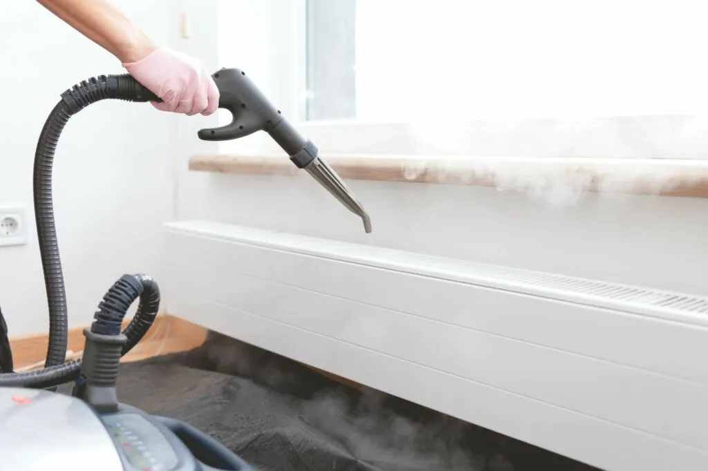 Ácaros nos cães: a limpeza da casa é essencial
