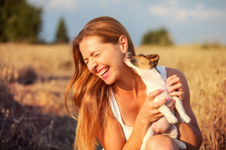 Porque os cães lambem os donos: uma demonstração de afeto