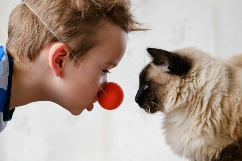 criança e gato olham-se1024x682