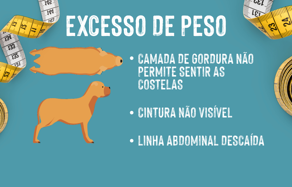 Excesso de peso e obesidade em cães: Identificar o excesso de peso