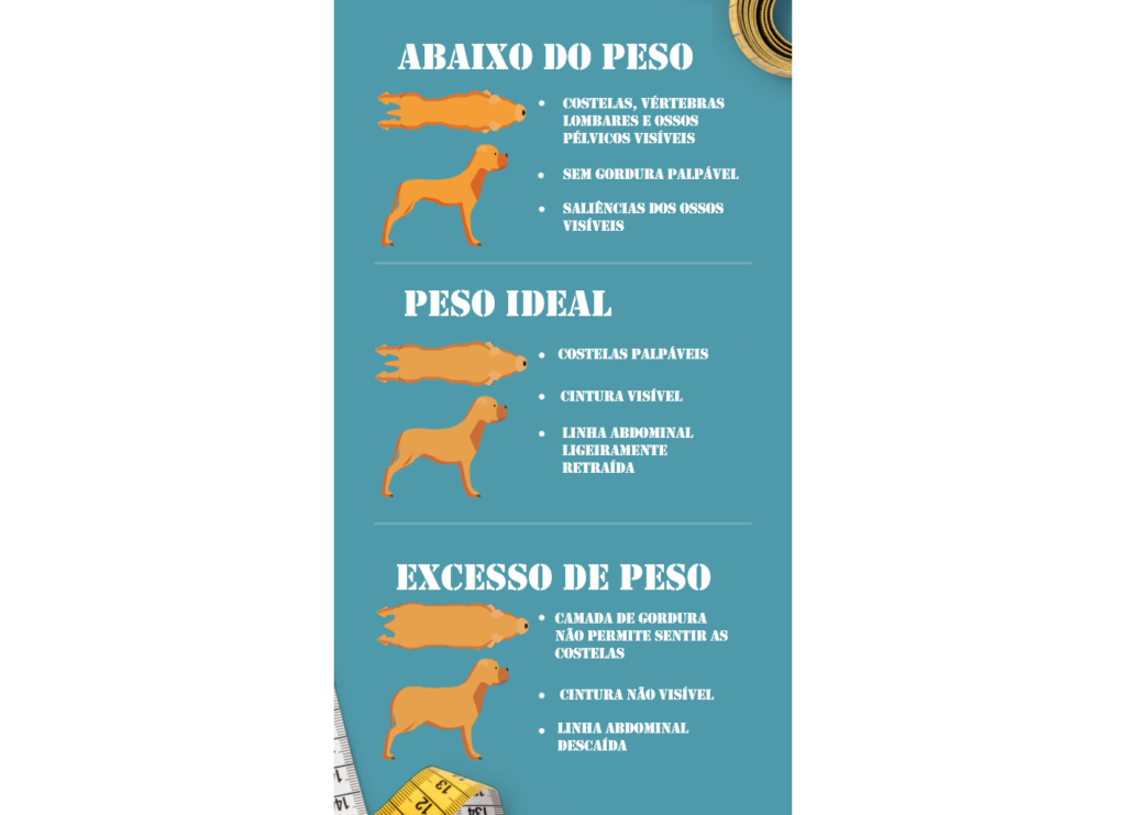 Infografia Excesso de peso e obesidade em cães: como identificar
