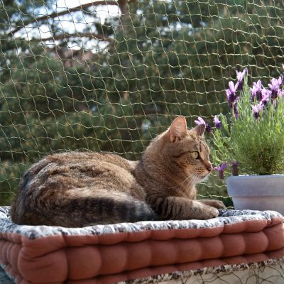 acessórios para gatos: rede de segurança para a varanda ou janelas