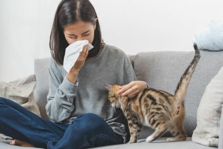 Fotografia de uma senhora com um gato: os espirros e nariz entupido são sintomas de alergia a gatos