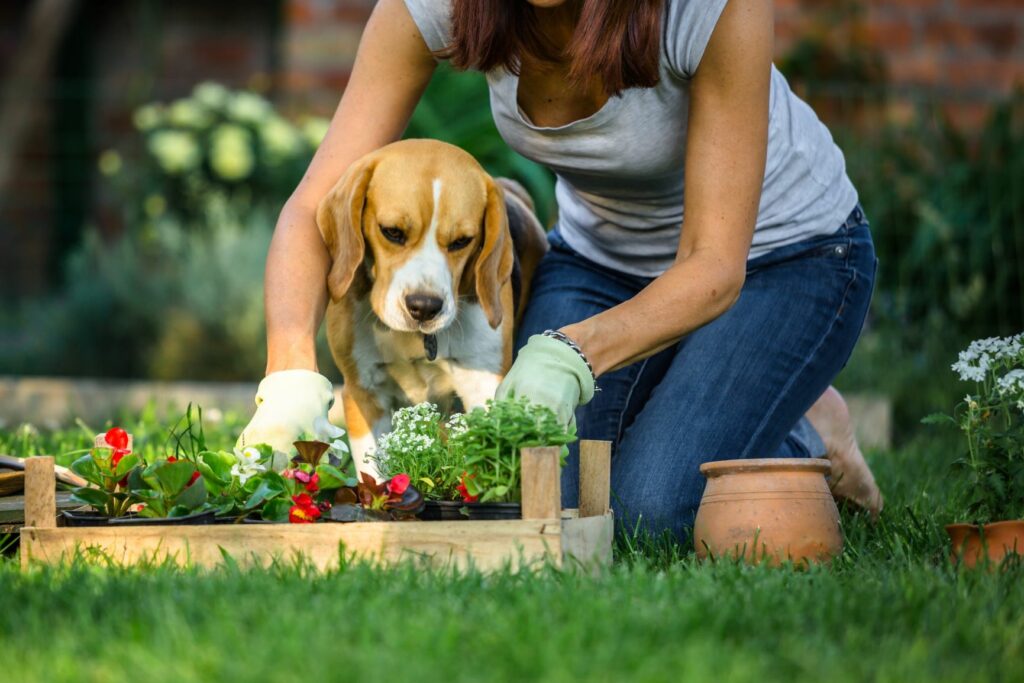 Mulher a fazer jardinagem com um cão.