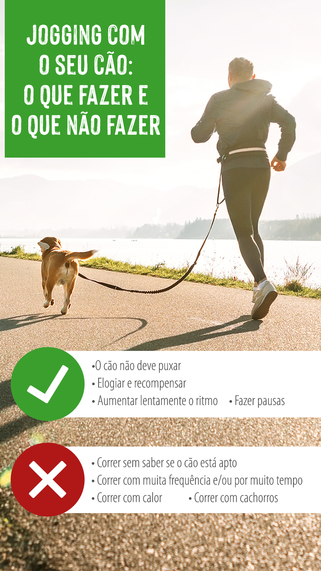 zooplus_Magazine_Outdoor_Dog_Jogging_DosAndDonts_1080x1920_DE