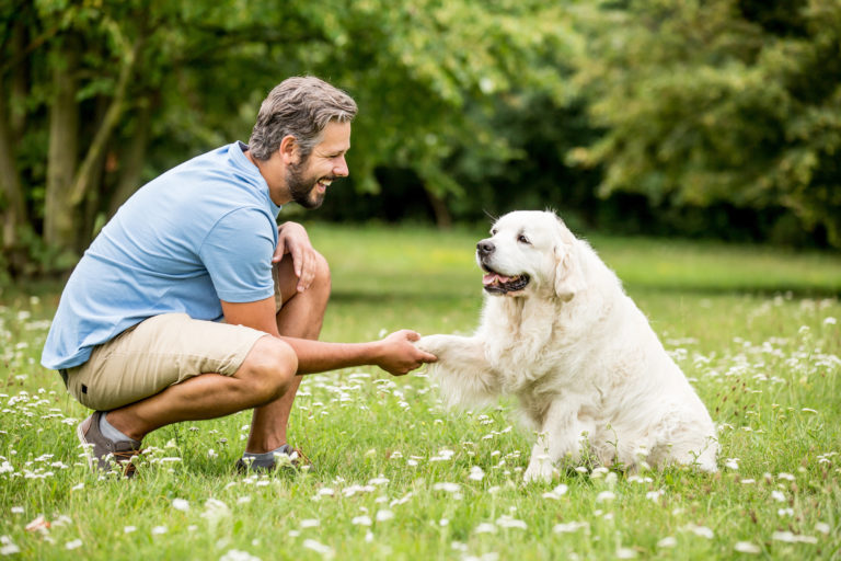 treinador de cães