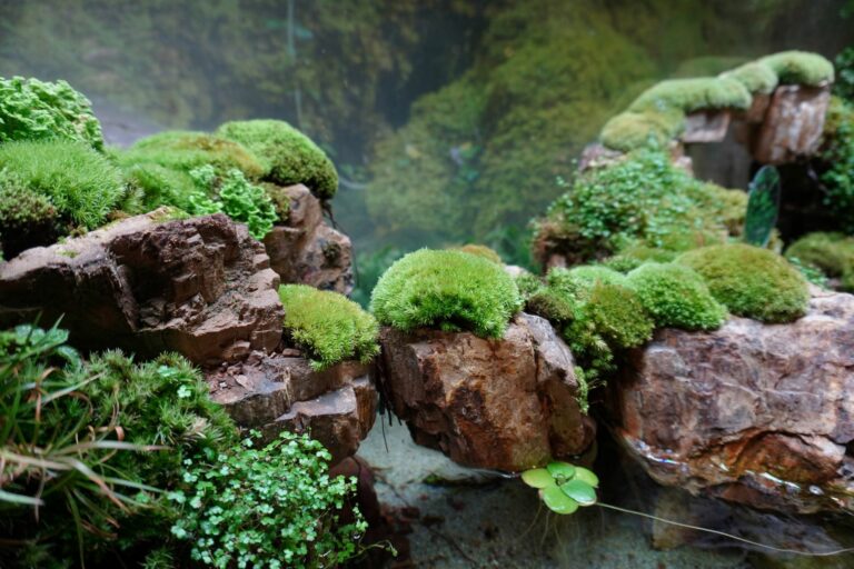 paludário_1 plantas num paludário