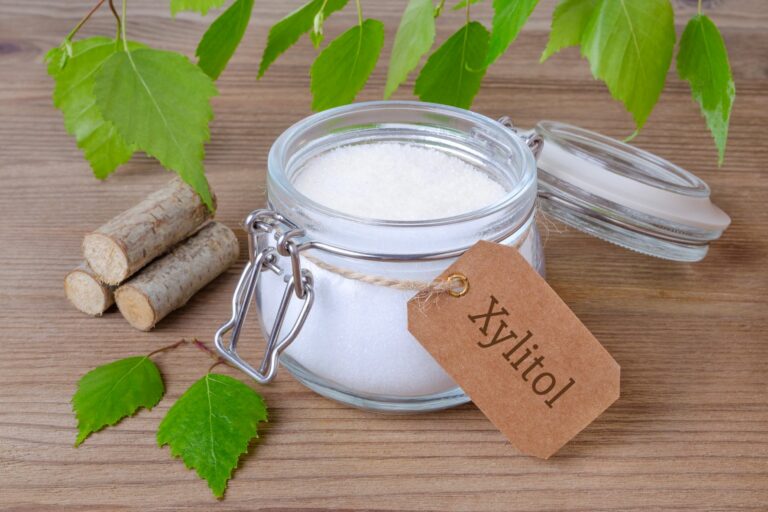 xilitol_1 frasco de xiliol. O envenenamento por xilitol nos cães pode ser fatal