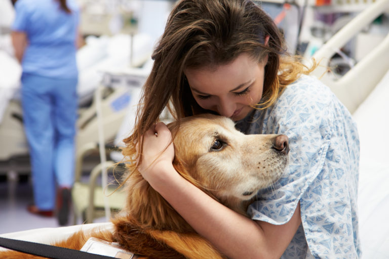 cão de terapia visita paciente no hospital