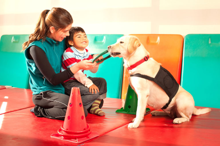 paciente em sessão com cão de terapia