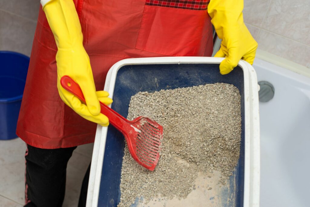 ag_2 Dono com luvas e avental limpa a caixa de areia do gato com uma pá. Existem vários tipos de areia para gatos com características próprias.