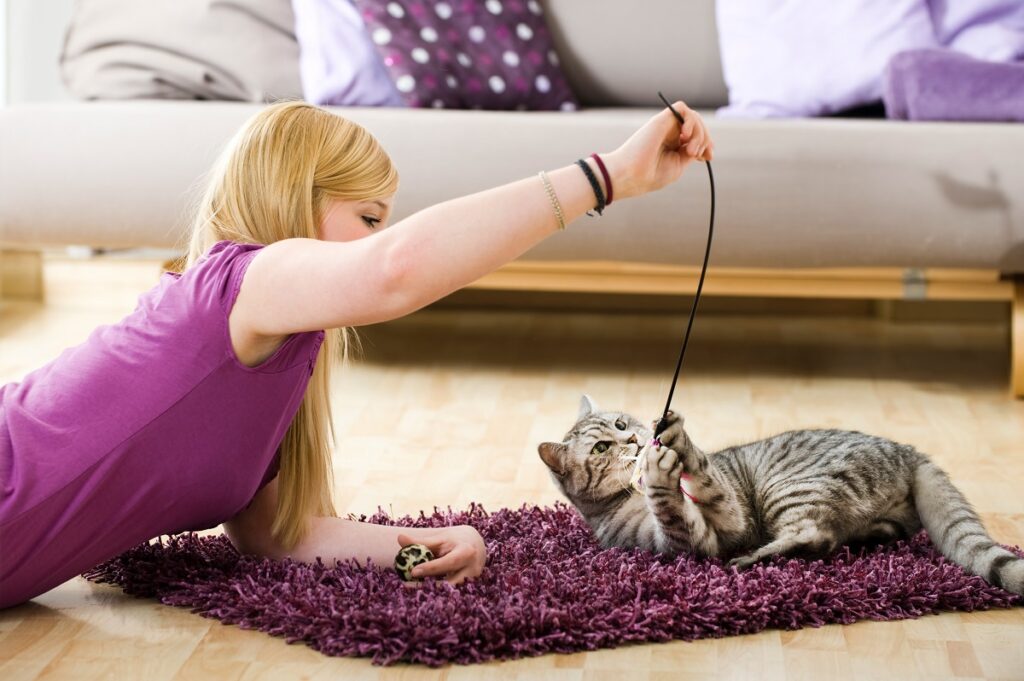 Rapariga brinca com um gato deitado no tapete. As brincadeiras ajudam a aliviar ossíndrome de Pica nos gatos