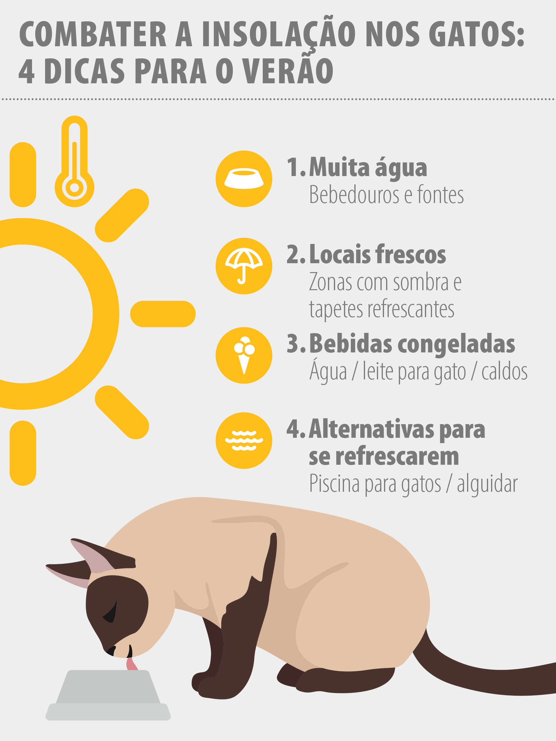 2022_02_Cooling_infographic_C_900x1200_PT Dicas para combater a insolação nos gatos